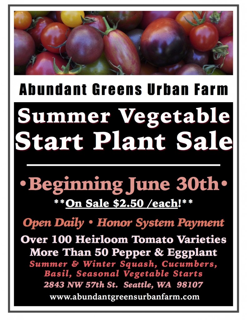 Summer Vegetable Start Plant Sale Abundant Greens Urban Farm And Nursery